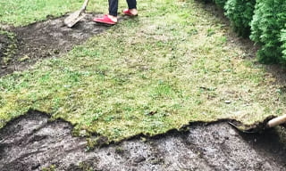 Снятие дерна старого газона в Фурманове – от 526 руб. | 2Землекопа-Фрв
